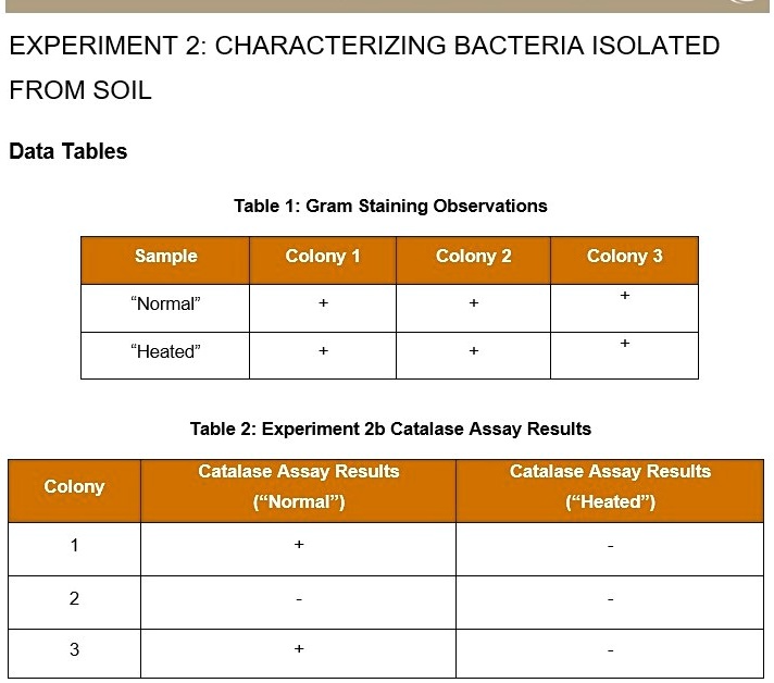 experiment 2 catalase assay