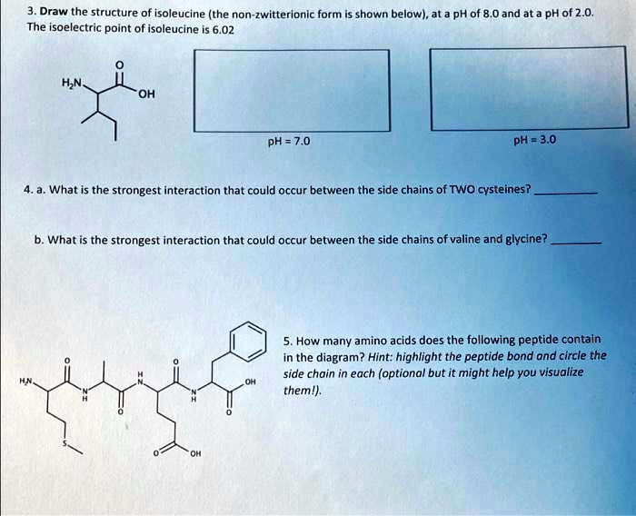 3. Draw the structure of isoleucine (the non-zwitterionic form is shown ...