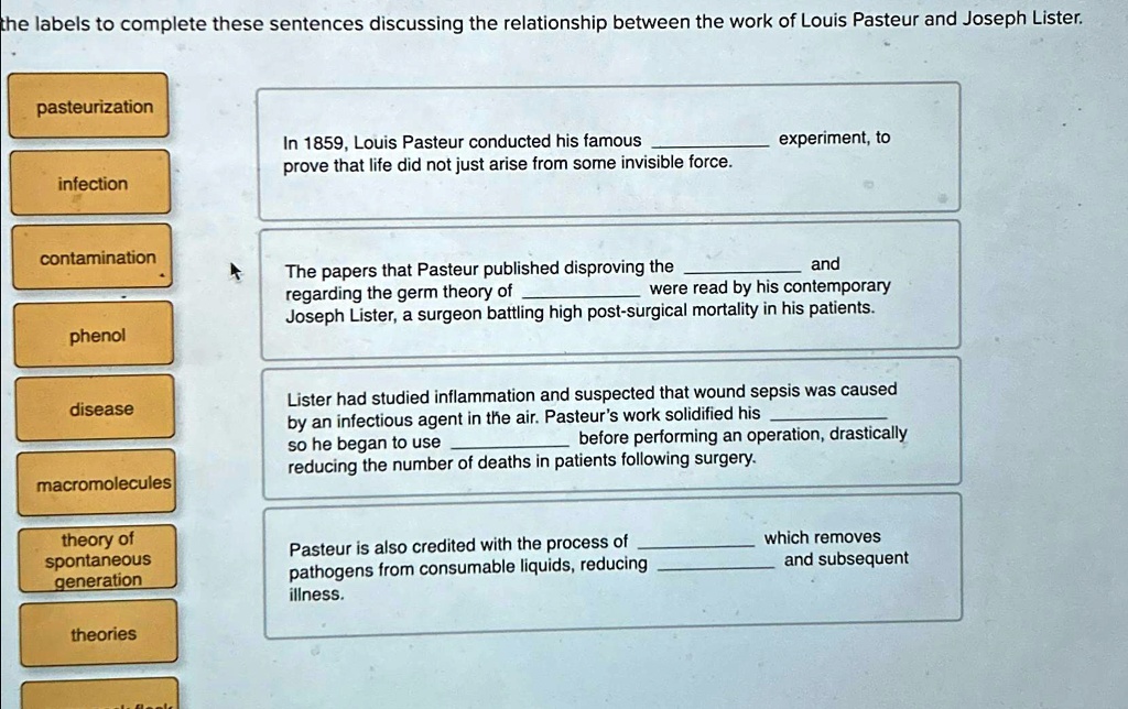 SOLVED: the labels to complete these sentences discussing the ...