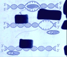 3 5 3 5 3 5 3 5 3 5 3 5 91785