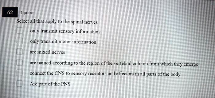 Select all that apply to the spinal nerves
only transmit sensory information
only transmit motor information
are mixed nerves
are named according to the region of the vertebral column from which they emerge
connect the CNS to sensory receptors and effectors in all parts of the body
Are part of the PNS