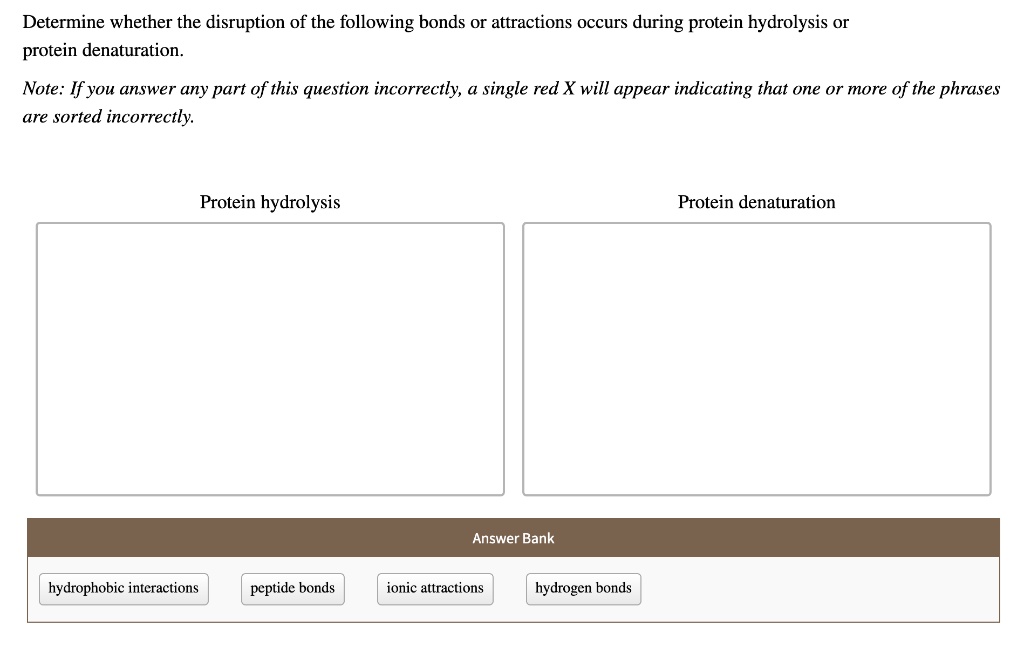 SOLVED Determine whether the disruption of the following bonds or