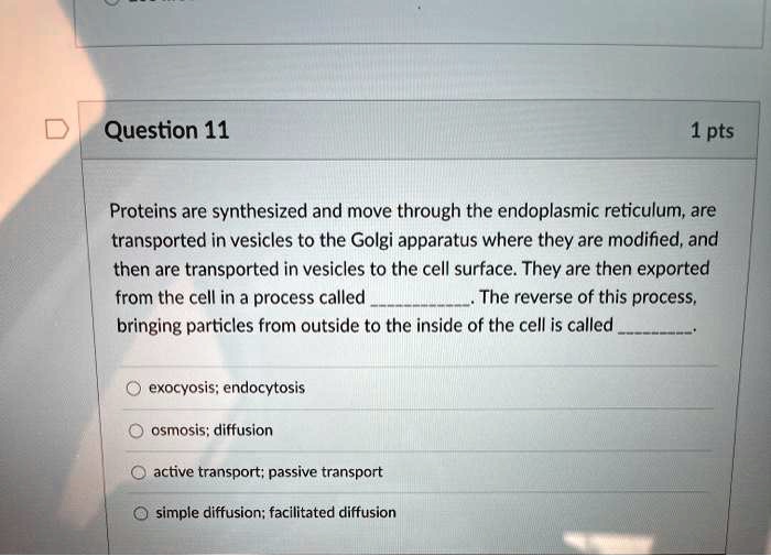 Proteins are synthesized and move through the endoplasmic reticulum, are transported in vesicles to the Golgi apparatus where they are modified, and then are transported in vesicles to the cell surface. They are then exported from the cell in a process called . The reverse of this process, bringing particles from outside to the inside of the cell is called . exocytosis; endocytosis osmosis; diffusion active transport; passive transport simple diffusion; facilitated diffusion