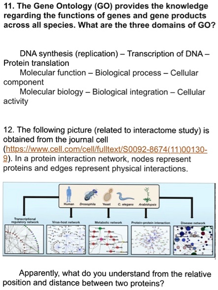 SOLVED: 11. The Gene Ontology (GO) provides knowledge regarding the ...