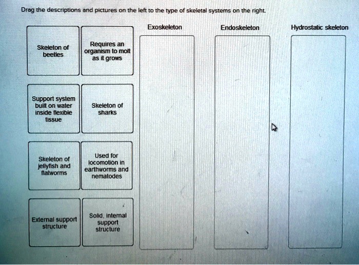 Drag the descriptions and pictures on the left to the type...