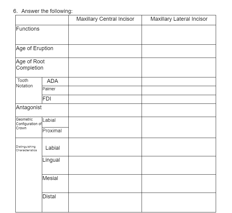 SOLVED: Answer the following: Maxillary Central Incisor Maxillary ...