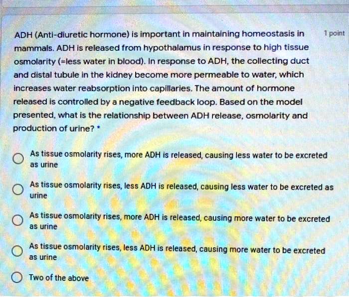 ADH (Anti-diuretic hormone) is important in maintaining homeostasis in mammals. ADH is released from hypothalamus in response to high tissue osmolarity (=less water in blood). In response to ADH, the collecting duct and distal tubule in the kidney become more permeable to water, which increases water reabsorption into capillaries. The amount of hormone released is controlled by a negative feedback loop. Based on the model presented, what is the relationship between ADH release, osmolarity and production of urine?

As tissue osmolarity rises, more ADH is released, causing less water to be excreted as urine
As tissue osmolarity rises, less ADH is released, causing less water to be excreted as urine
As tissue osmolarity rises, more ADH is released, causing more water to be excreted as urine
As tissue osmolarity rises, less ADH is released, causing more water to be excreted as urine
Two of the above