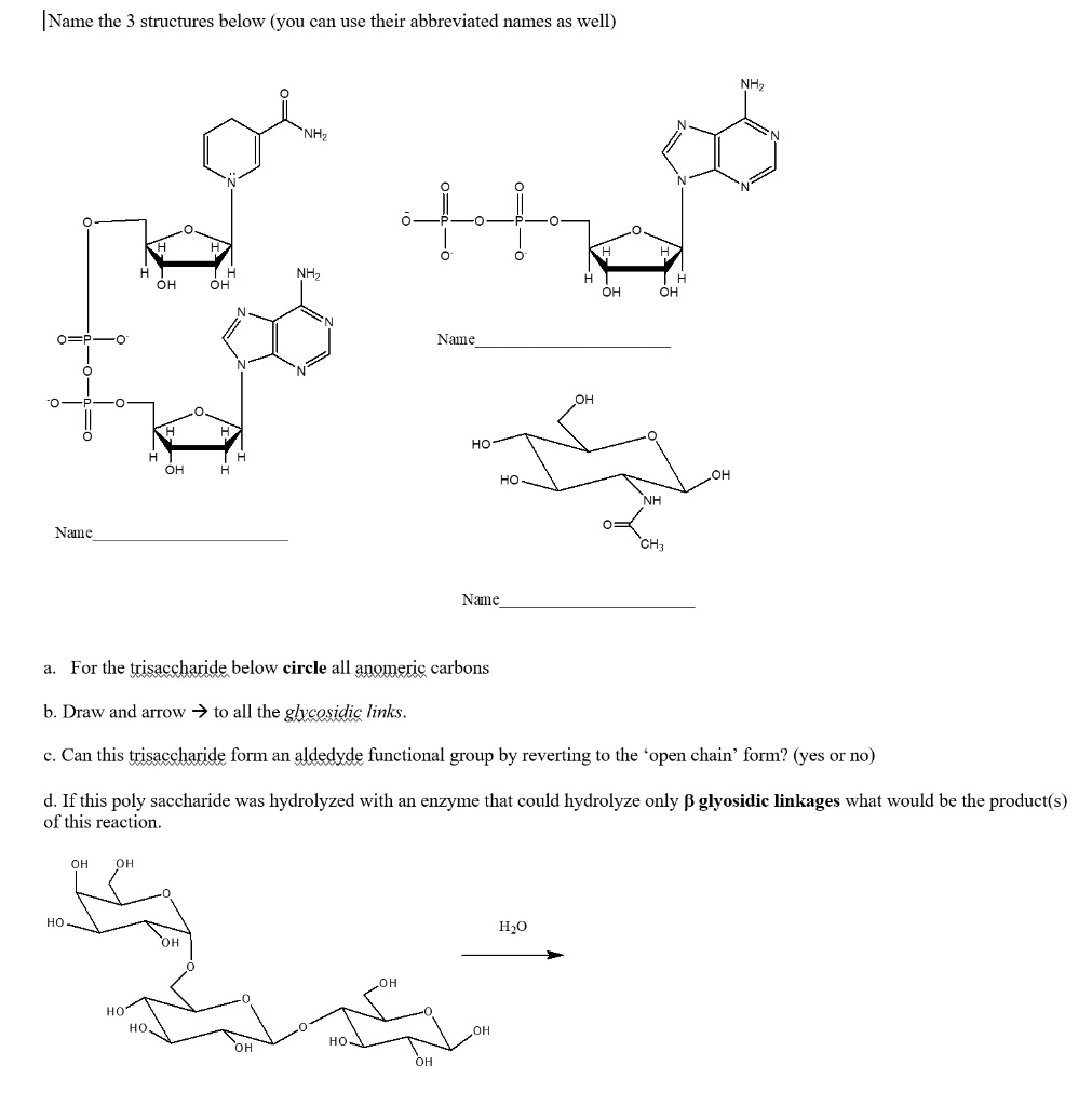 SOLVED: Name the structures below (you can use their abbreviated names ...