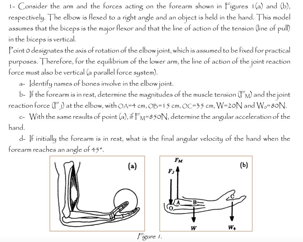 SOLVED: Consider the arm and the forces acting on the forearm shown in ...