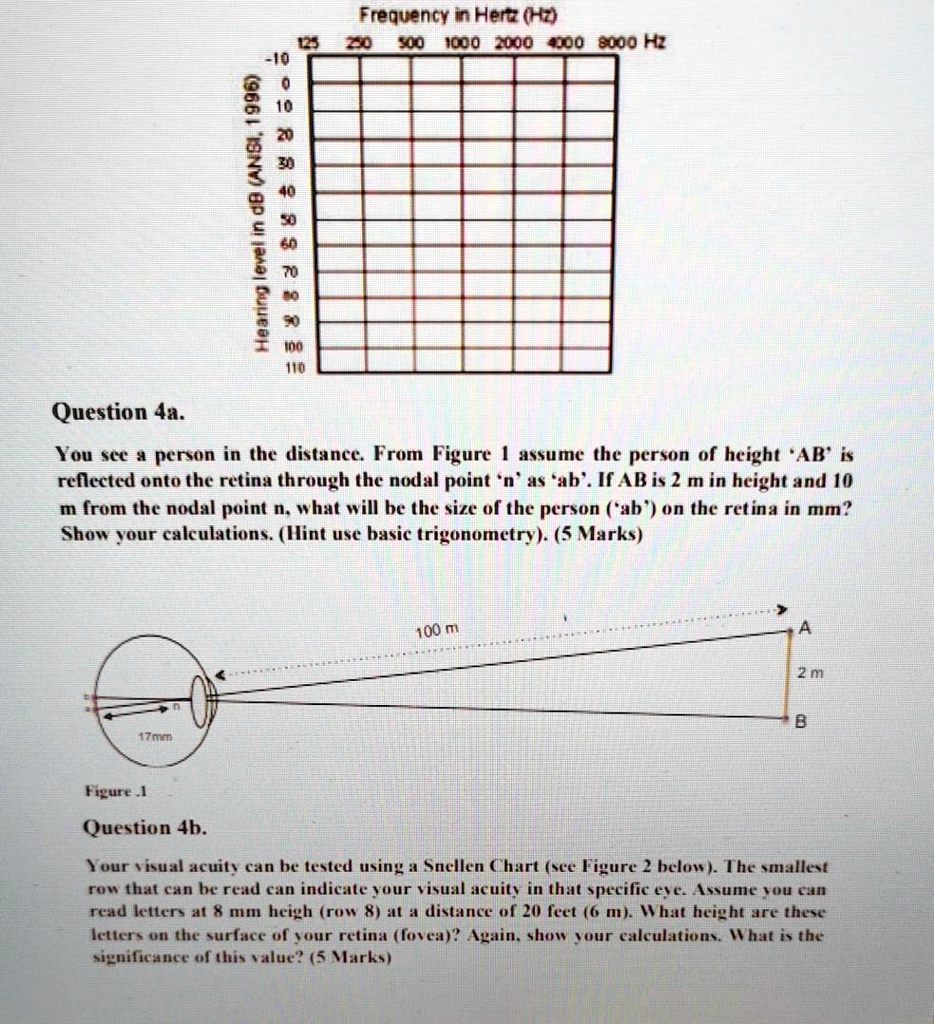 Hearing level in dB (ANSI, 1996)
-10
0
10
20
30
40
50
60
70
80
90
100
110
Frequency in Hertz (Hz)
125 250 500 1000 2000 4000 8000 Hz
Question 4a.
You see a person in the distance. From Figure 1 assume the person of height 'AB' is
reflected onto the retina through the nodal point 'n' as 'ab'. If AB is 2 m in height and 10
m from the nodal point n, what will be the size of the person ('ab') on the retina in mm?
Show your calculations. (Hint use basic trigonometry). (5 Marks)
17mm
100 m
A
2 m
B
Figure .1
Question 4b.
Your visual acuity can be tested using a Snellen Chart (see Figure 2 below). The smallest
row that can be read can indicate your visual acuity in that specific eye. Assume you can
read letters at 8 mm heigh (row 8) at a distance of 20 feet (6 m). What height are these
letters on the surface of your retina (fovea)? Again, show your calculations. What is the
significance of this value? (5 Marks)