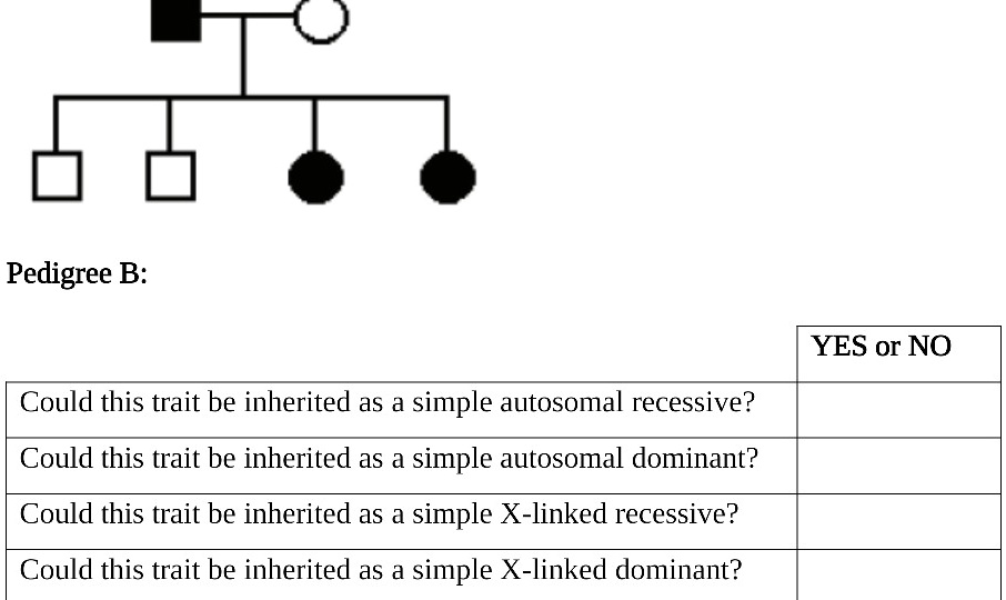 pedigree b yes or no could this trait be inherited as simple autosomal ...