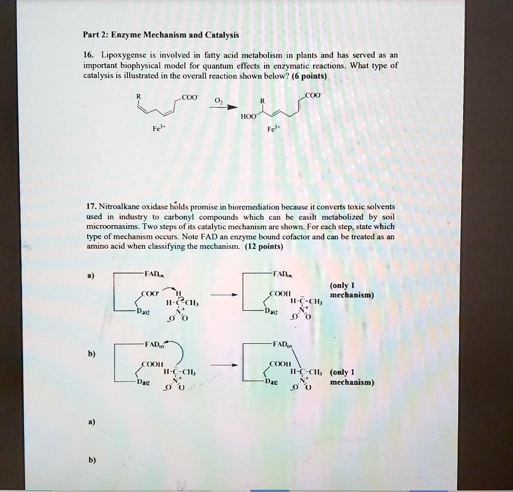 SOLVED Part 2 Enzyme Mechanism and Catalysis 16. Lipoxygenase is
