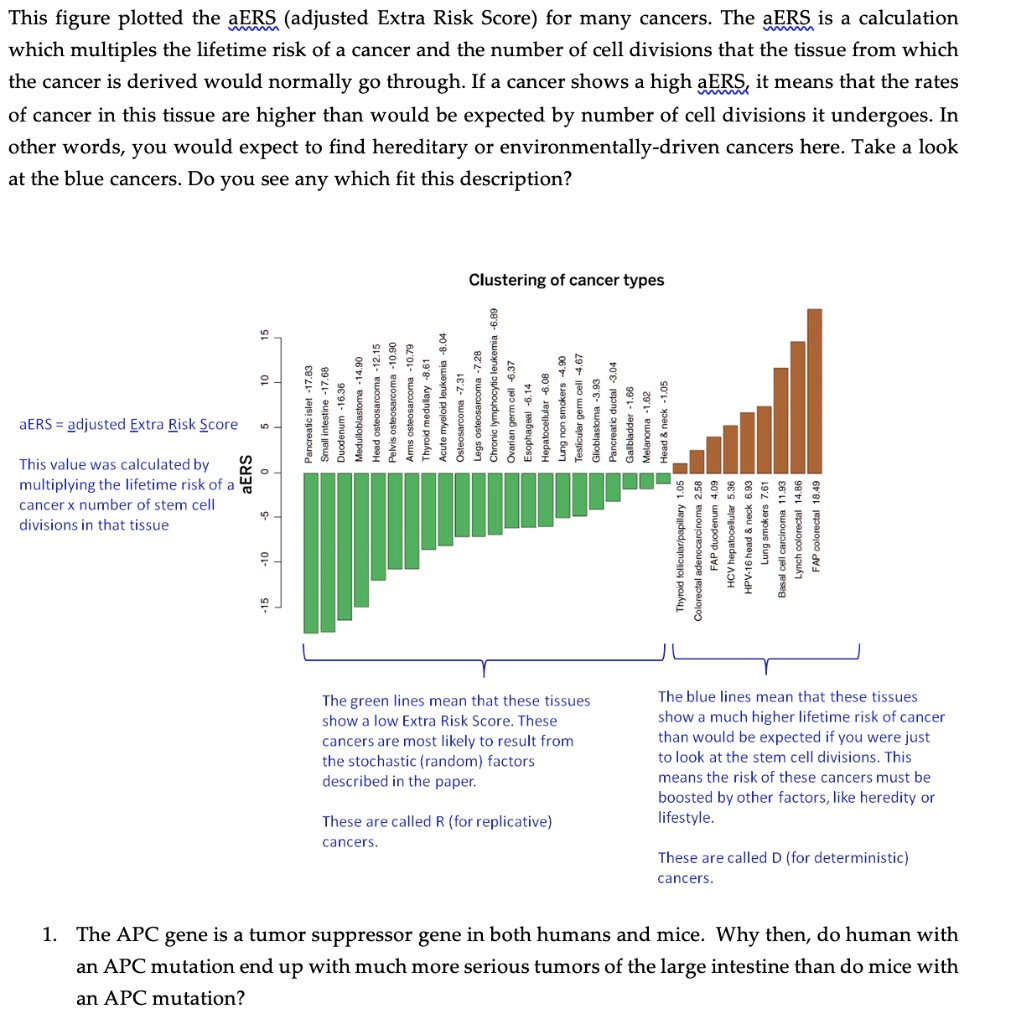 solved-the-apc-gene-is-a-tumor-suppressor-gene-in-both-humans-and-mice