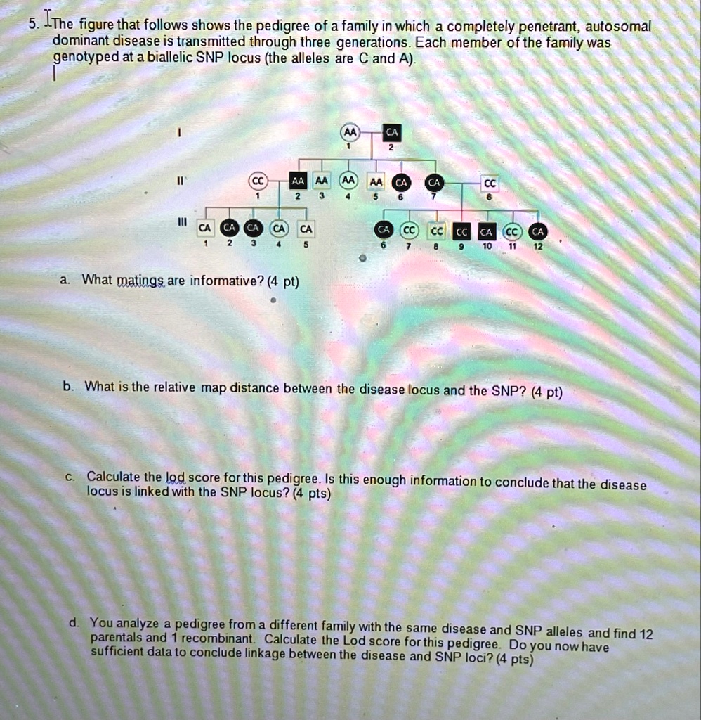 SOLVED: The figure that follows shows the pedigree of a family in which ...