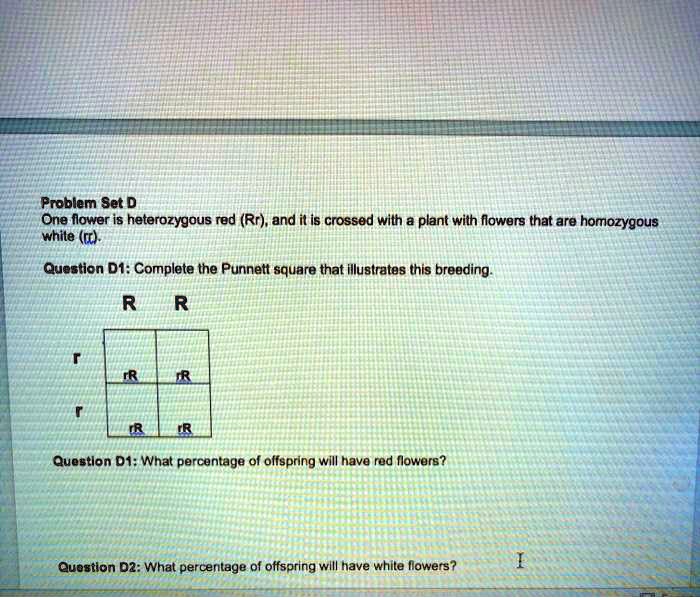SOLVEDProblem Set D One flower is heterozygous red (Rr), and il is