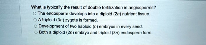What is typically the result of double fertilization in angiosperms?
The endosperm develops into a diploid (2n) nutrient tissue.
A triploid (3n) zygote is formed.
Development of two haploid (n) embryos in every seed.
Both a diploid (2n) embryo and triploid (3n) endosperm form.