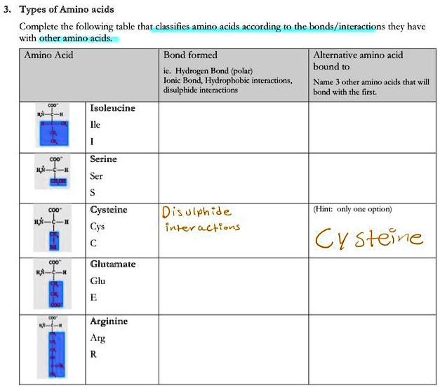 SOLVED: Types of Amino Acids Complete the following table that ...