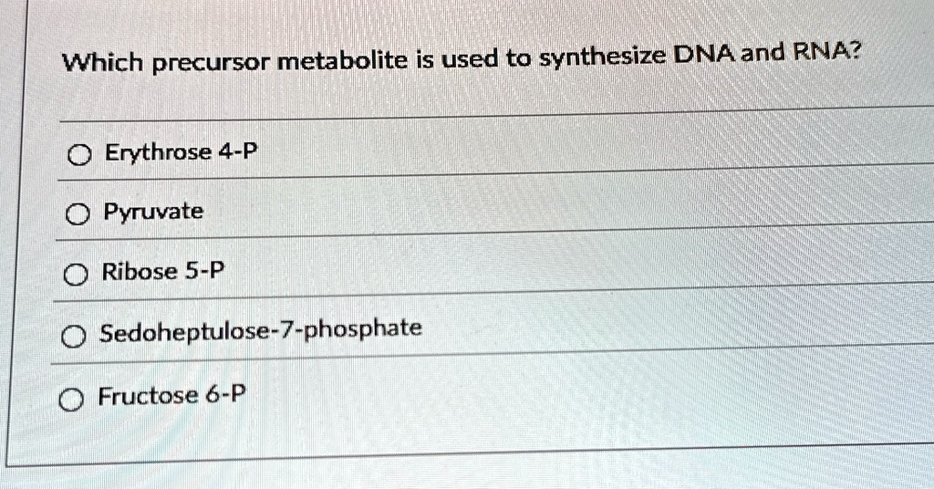which precursor metabolite is used to synthesize dna and rna erythrose 4 p pyruvate ribose 5 p sedoheptulose 7 phosphate fructose 6 p 74189