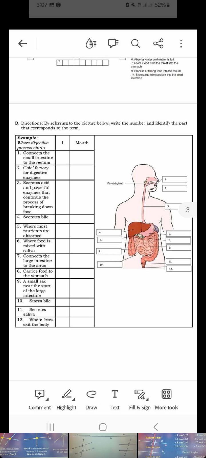 3:07
ox 40 , 40
??
Q
0
6 Absorbs water and nutrients left 7. Forces food from the throat into the stomach
9. Process of taking food into the mouth 14. Stores and releases bile into the small intestine
B. Directions: By referring to the picture below, write the number and identify the part that corresponds to the term.
Highlight
Draw
Draw