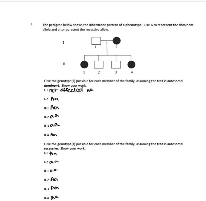 SOLVED The pedigree below shows the inheritance pattern of phenotype