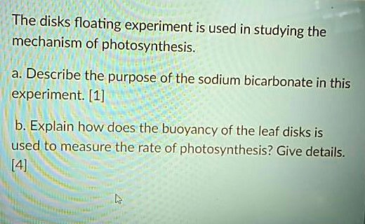 sodium bicarbonate leaf experiment