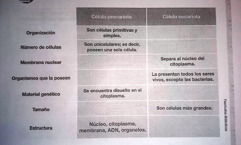 SOLVED: ACTIVIDAD: completa la tabla de las diferencias entre las