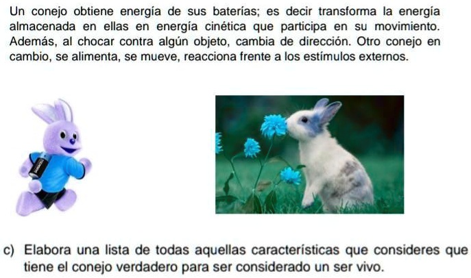 SOLVED: DOY CORONA SI LO RESPONDEN PORFAVOR AYUDA Un conejo obtiene
