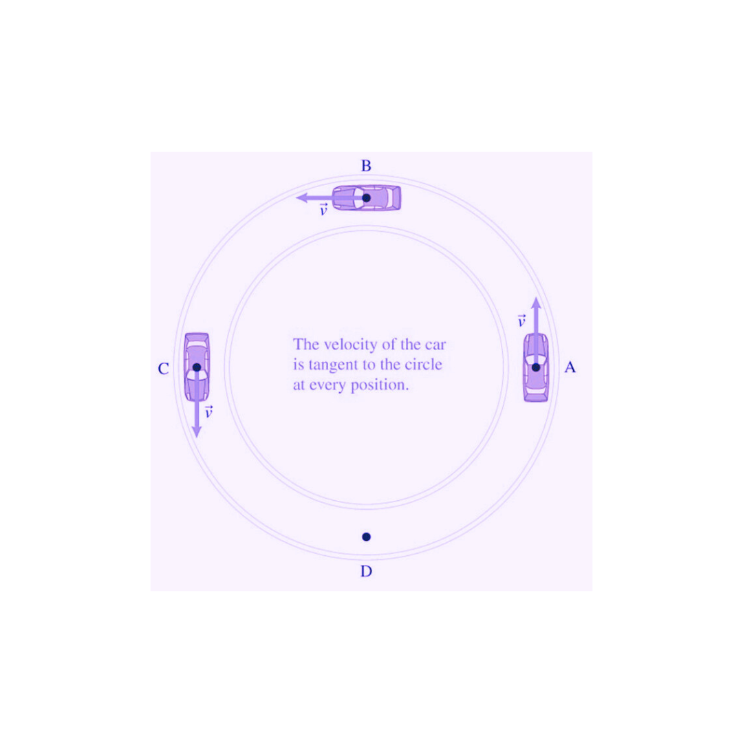 B
v
The velocity of the car
is tangent to the circle
at every position.
A
C
v
v
D