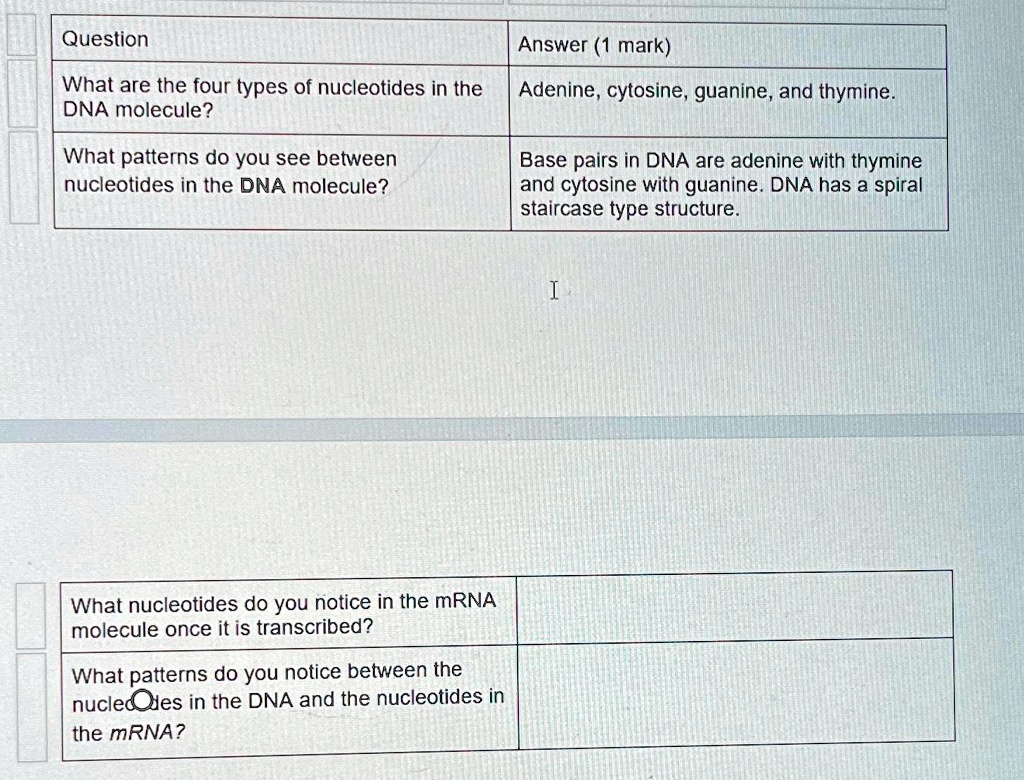 SOLVED Question Answer (1 mark) What are the four types of nucleotides