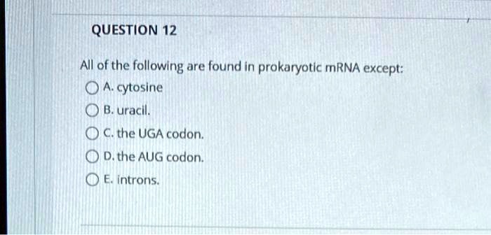 All Of The Following Are Found In Prokaryotic Mrna Except