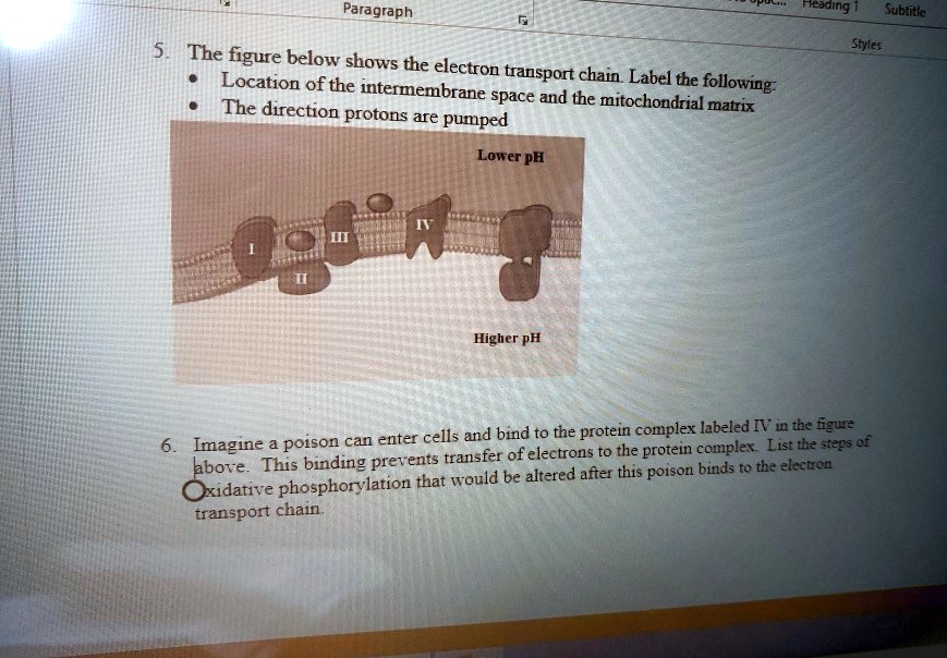 SOLVED Subtitle Styles The figure below shows the electron location of