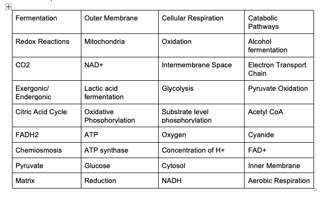 SOLVED: Fermentation Outer Membrane Cellular Respiration Catabolic ...