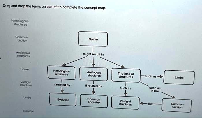 texts drag and drop the terms on the left to complete the concept map ...