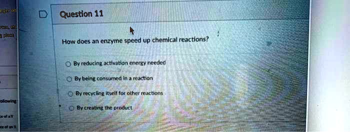 How does an enzyme speed up chemical reactions?
By reducing activation energy needed
By being consumed in a reaction
By recycling itself for other reactions
By creating the product