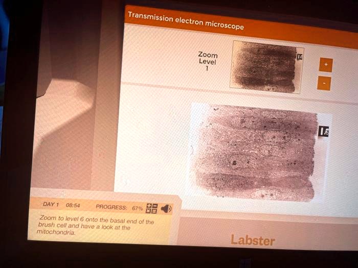 SOLVED Zoom Level DAY 0854 AM PROGRESS 83 Zoom to level 6 at the