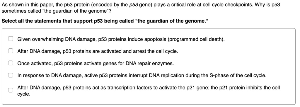 SOLVED: As shown in this paper; the p53 protein (encoded by the p53 ...