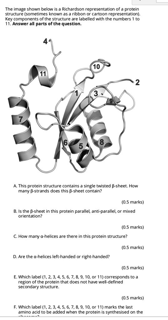 SOLVED: The image shown below is a Richardson representation of a ...