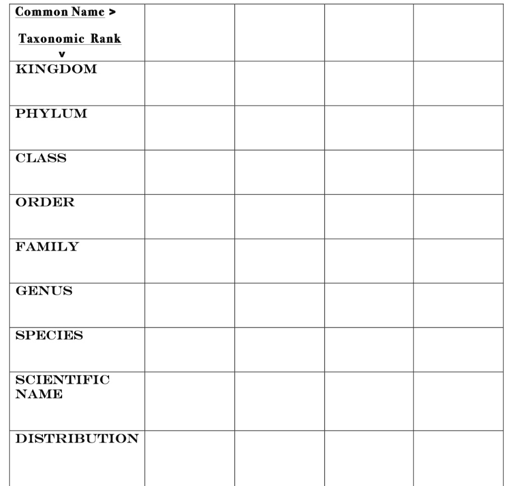 Taxonomic rank visual data 6