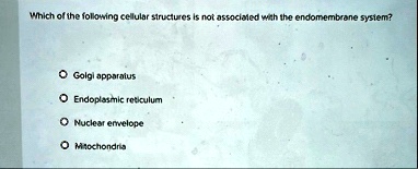 which of the following cellular structures is not associated with the endomembrane system golgi apparatus endoplasmic reticulum nuclear envelope mitochondria 19163