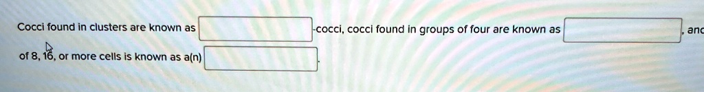 Cocci found in clusters are known as 
-cocci, cocci found in groups of four are known as 
and
of 8, 16, or more cells is known as a(n)