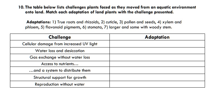 10. The table below lists challenges plants faced as they moved from an aquatic environment
onto land. Match each adaptation of land plants with the challenge presented.
Adaptations: 1) True roots and rhizoids, 2) cuticle, 3) pollen and seeds, 4) xylem and
phloem, 5) flavonoid pigments, 6) stomata, 7) larger and some with woody stem.
Challenge
Cellular damage from increased UV light
Water loss and desiccation
Gas exchange without water loss
Access to nutrients...
...and a system to distribute them
Structural support for growth
Reproduction without water
Adaptation