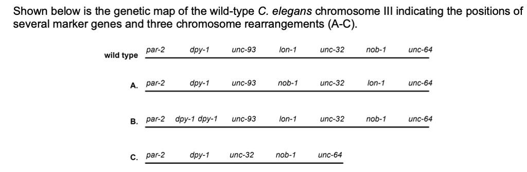 shown below is the genetic map of the wild type c elegans chromosome ...