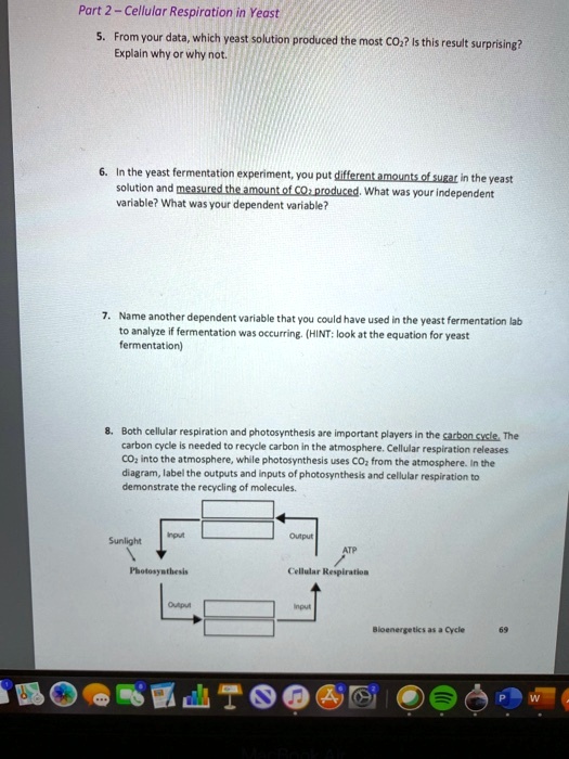 SOLVED From your data, which yeast solution produced the most CO2? Is