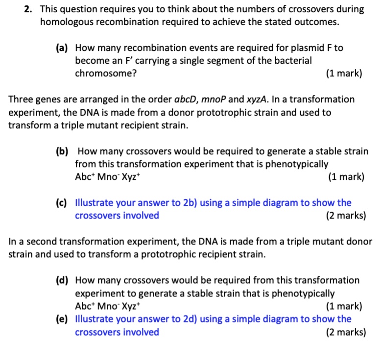 2. This question requires you to think about the numbers of crossovers during
homologous recombination required to achieve the stated outcomes.

(a) How many recombination events are required for plasmid F to
become an F' carrying a single segment of the bacterial
chromosome?
(1 mark)

Three genes are arranged in the order abcD, mnoP and xyzA. In a transformation
experiment, the DNA is made from a donor prototrophic strain and used to
transform a triple mutant recipient strain.

(b) How many crossovers would be required to generate a stable strain
from this transformation experiment that is phenotypically
Abc+ Mno- Xyz+
(1 mark)

(c) Illustrate your answer to 2b) using a simple diagram to show the
crossovers involved
(2 marks)

In a second transformation experiment, the DNA is made from a triple mutant donor
strain and used to transform a prototrophic recipient strain.

(d) How many crossovers would be required from this transformation
experiment to generate a stable strain that is phenotypically
Abc+ Mno- Xyz+
(1 mark)
(e) Illustrate your answer to 2d) using a simple diagram to show the
crossovers involved
(2 marks)