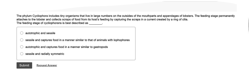 SOLVED The phylum Cycliophora includes tiny organisms that live  