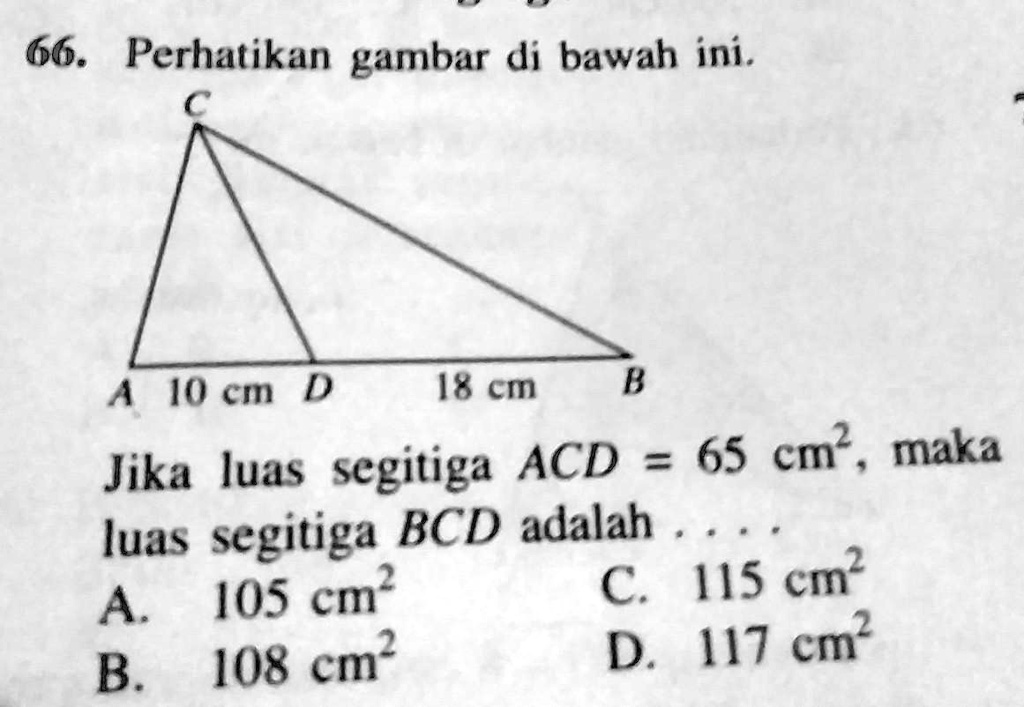 SOLVED: jika luas segitiga ACD= 65cm², maka luas segitiga BCD adalah 66 ...