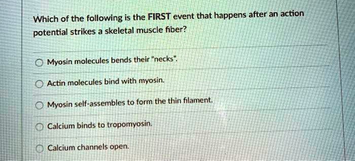 Which of the following is the FIRST event that happens after an action potential strikes a skeletal muscle fiber?

Myosin molecules bends their "necks".
Actin molecules bind with myosin.
Myosin self-assembles to form the thin filament.
Calcium binds to tropomyosin.
Calcium channels open.
