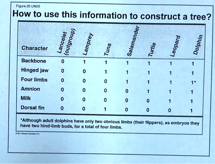 Figure 26. UNOS: How to use this information to construct a tree