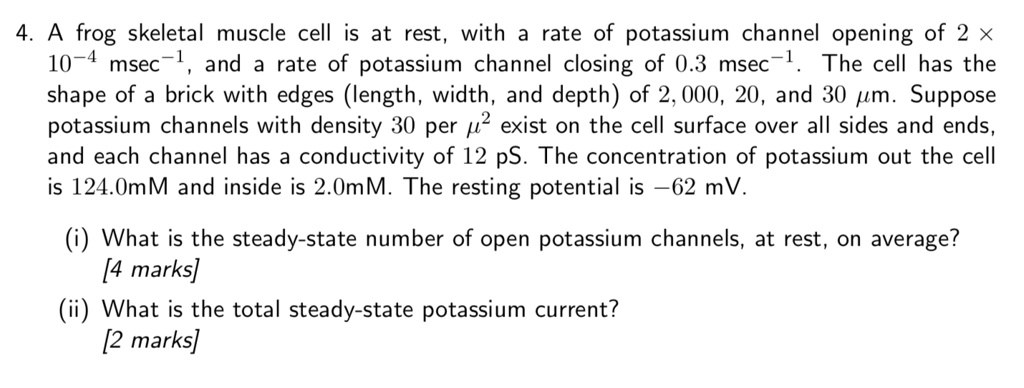 4 frog skeletal muscle cell is at rest with rate of potassium channel ...