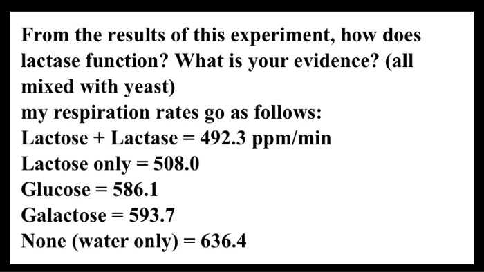 SOLVED: From The Results Of This Experiment, How Does Lactase Function ...